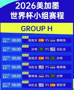 2026世界杯官方买球指定入口 赛场精彩瞬间