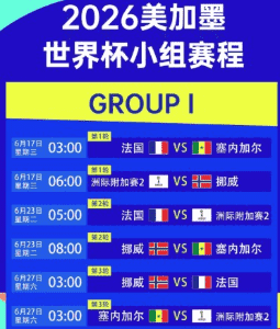2026世界杯现场球迷